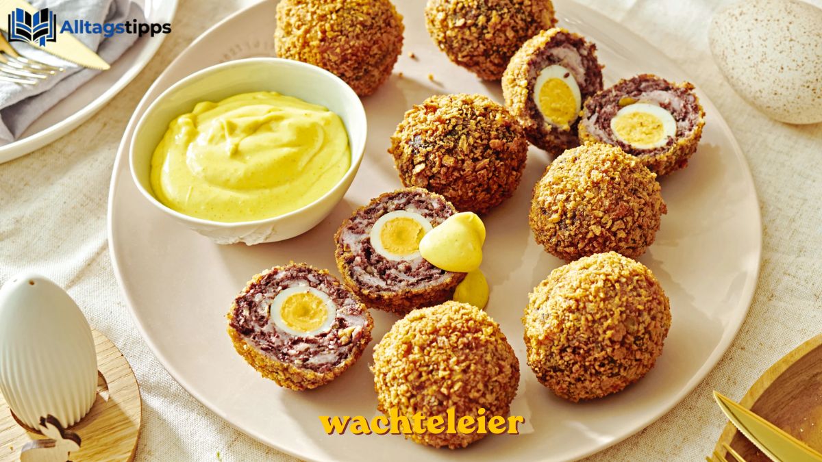 wachteleier